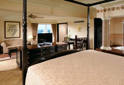 Jacuzzi Suite Ocean View